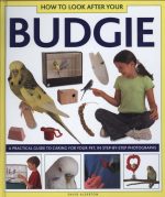 How to Look After Your Budgie: A Practical Guide to Caring for Your Pet, in Step